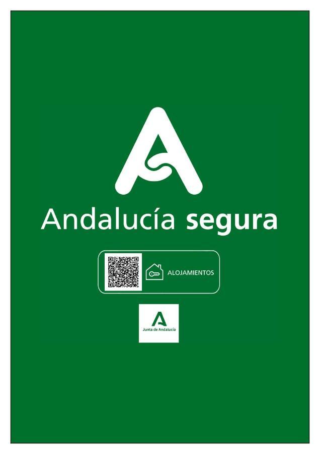 Suites Gran Via 44 Granada Kültér fotó